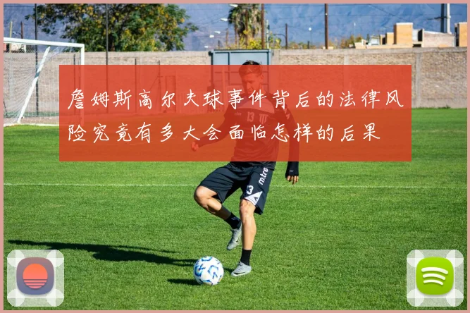 詹姆斯高尔夫球事件背后的法律风险究竟有多大会面临怎样的后果