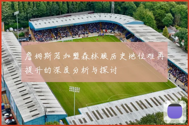 詹姆斯若加盟森林狼历史地位难再提升的深度分析与探讨